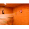 Eagle 2 Person Outdoor Traditional Wet/Dry Sauna with Harvia Heater